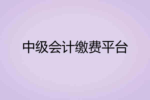 中级会计缴费平台