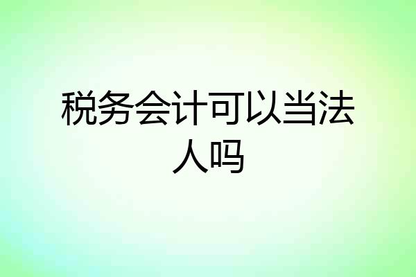 税务会计可以当法人吗