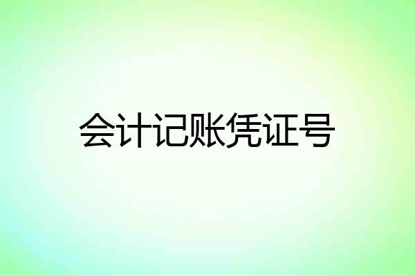 会计记账凭证号