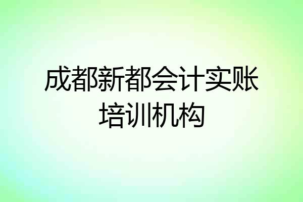 成都新都会计实账培训机构