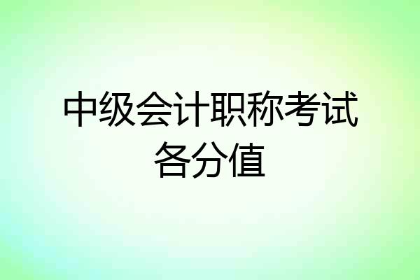 中级会计职称考试各分值