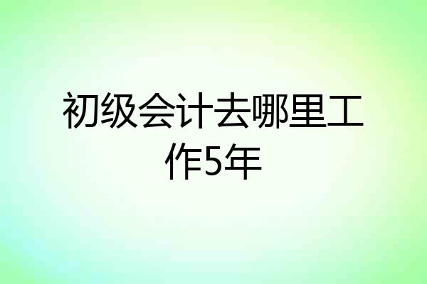 初级会计去哪里工作5年