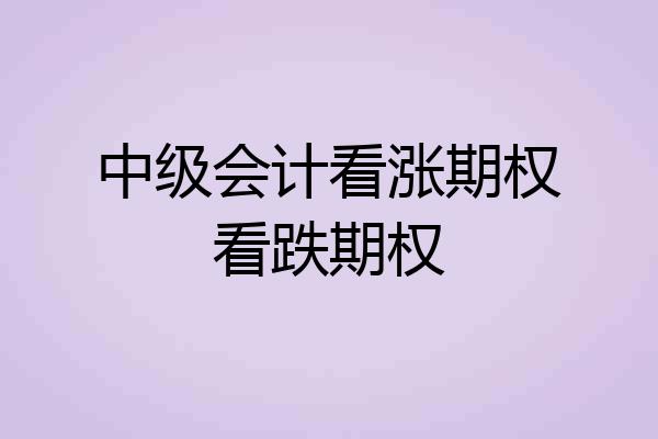 中级会计看涨期权看跌期权