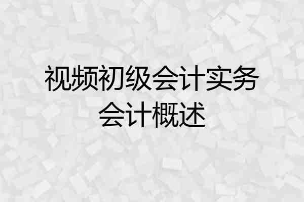 视频初级会计实务会计概述