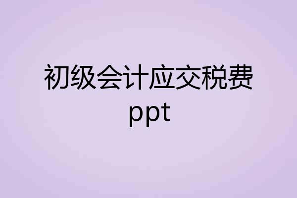 初级会计应交税费ppt