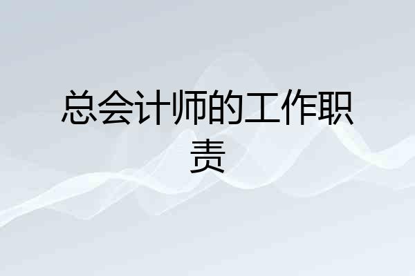 总会计师的工作职责