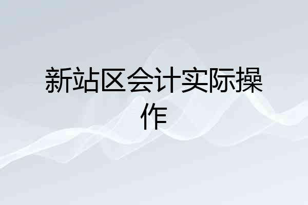 新站区会计实际操作