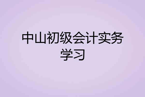 中山初级会计实务学习