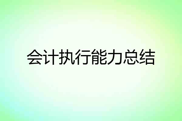 会计执行能力总结