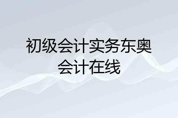 初级会计实务东奥会计在线