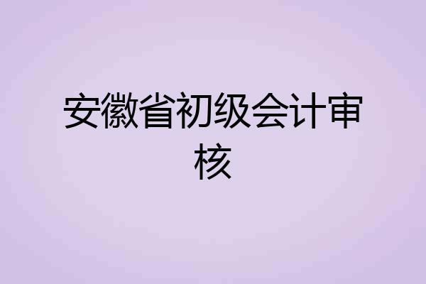 安徽省初级会计审核