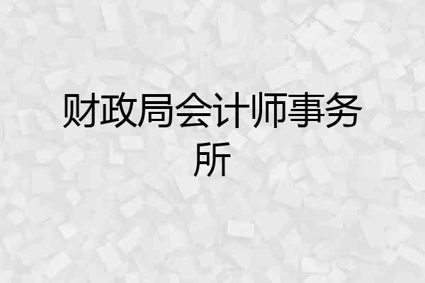 财政局会计师事务所