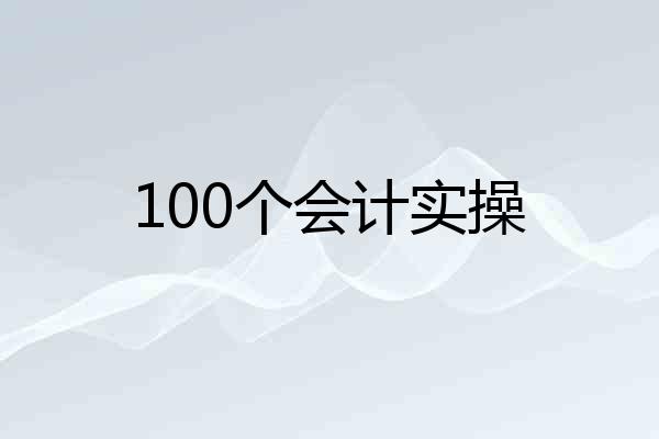 100个会计实操