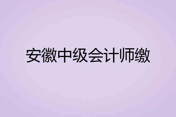 安徽中级会计师缴
