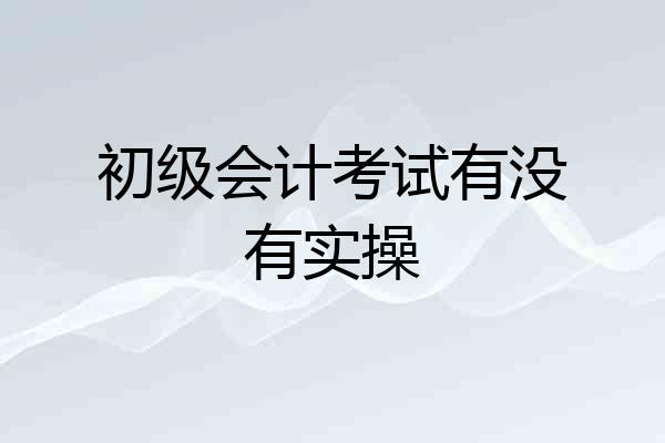 初级会计考试有没有实操