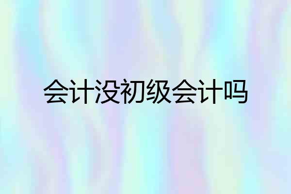 会计没初级会计吗