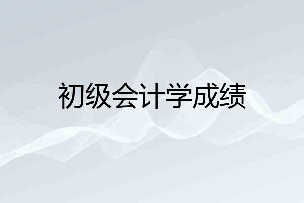 初级会计学成绩