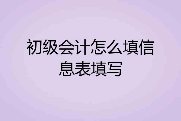 初级会计怎么填信息表填写