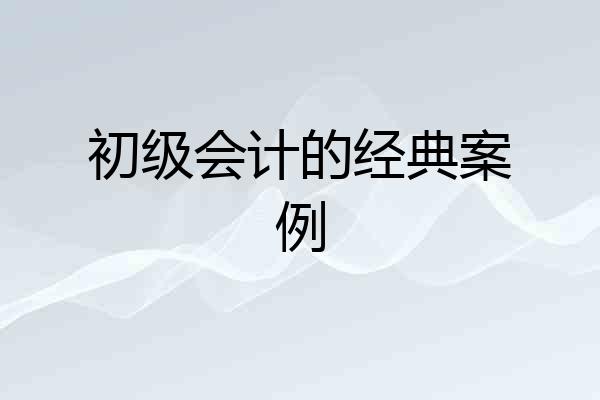初级会计的经典案例