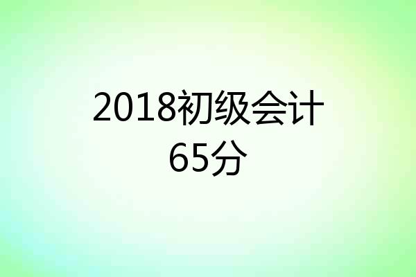 2018初级会计65分