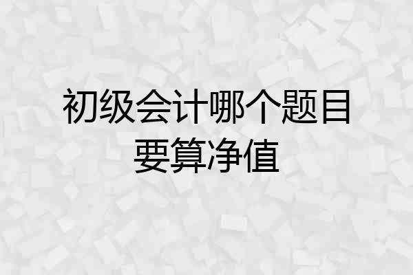 初级会计哪个题目要算净值