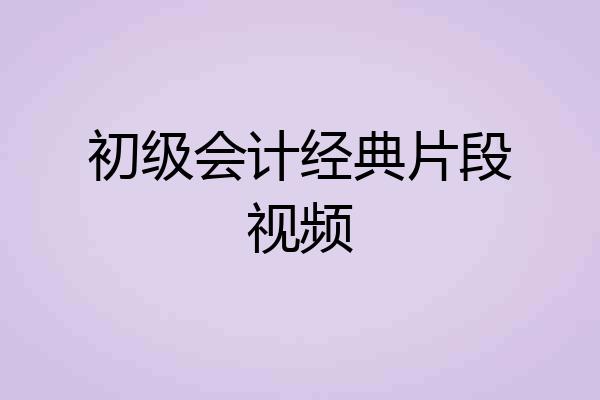 初级会计经典片段视频