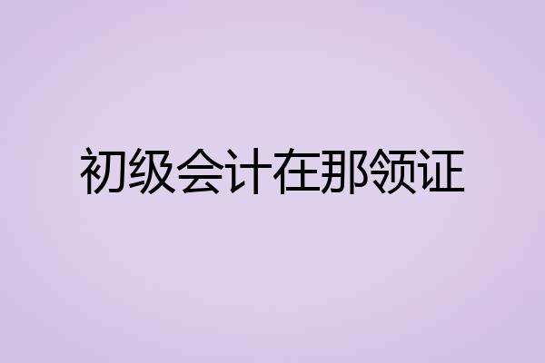 初级会计在那领证