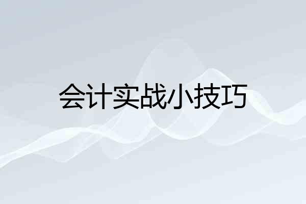 会计实战小技巧