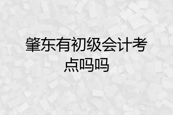 肇东有初级会计考点吗吗