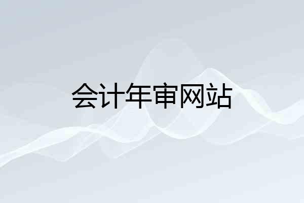 会计年审网站