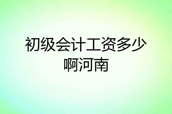 初级会计工资多少啊河南