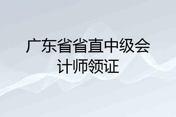 广东省省直中级会计师领证