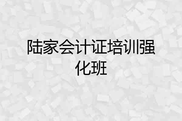 陆家会计证培训强化班
