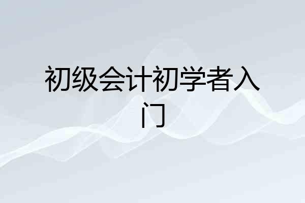 初级会计初学者入门