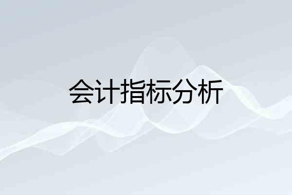 会计指标分析