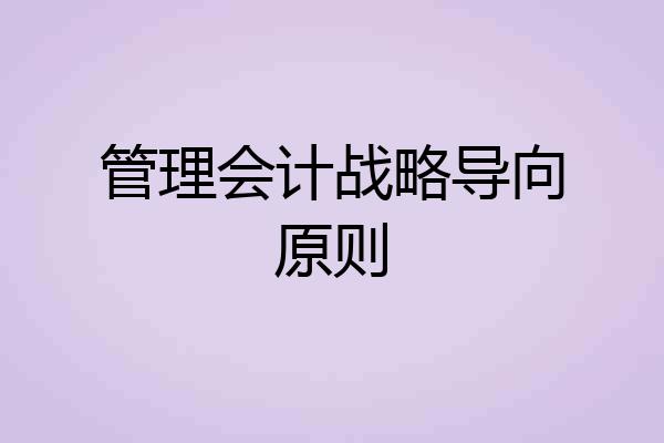 管理会计战略导向原则