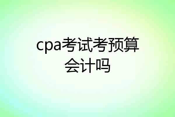 cpa考试考预算会计吗