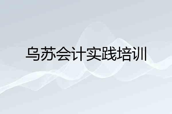 乌苏会计实践培训
