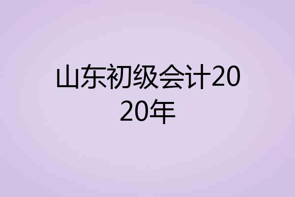 山东初级会计2020年