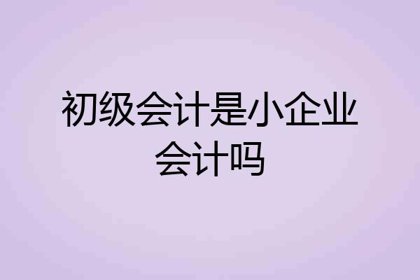 初级会计是小企业会计吗