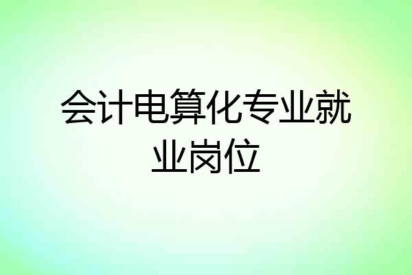 会计电算化专业就业岗位