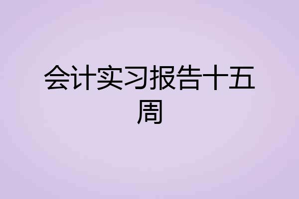 会计实习报告十五周