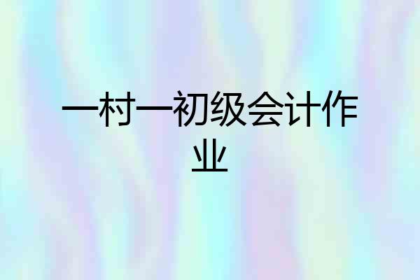 一村一初级会计作业