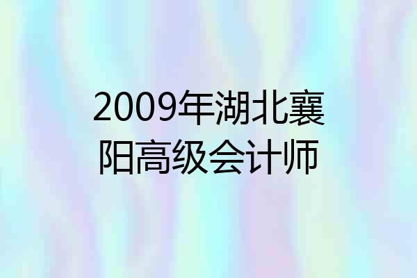 2009年湖北襄阳高级会计师