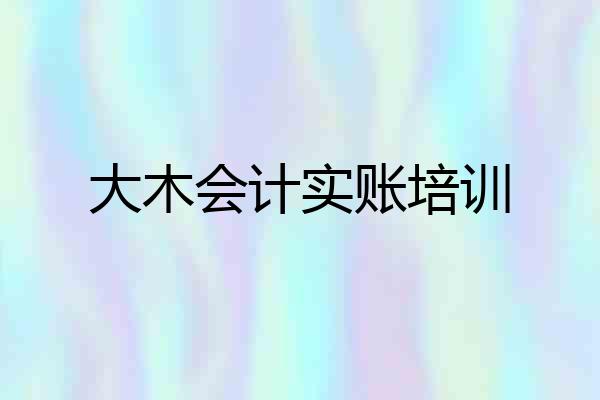 大木会计实账培训