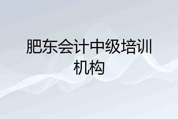 肥东会计中级培训机构