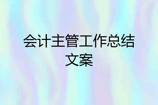 会计主管工作总结文案