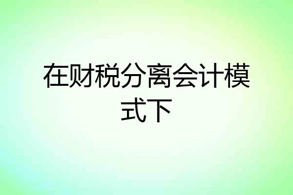 在财税分离会计模式下