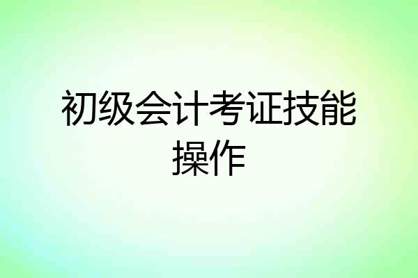 初级会计考证技能操作