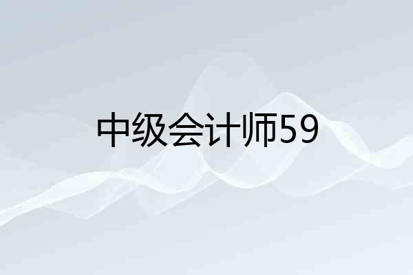 中级会计师59